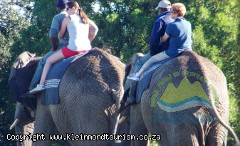 mag tours and safari