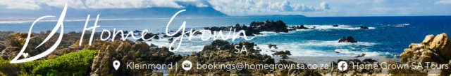 Home Grown SA Tours