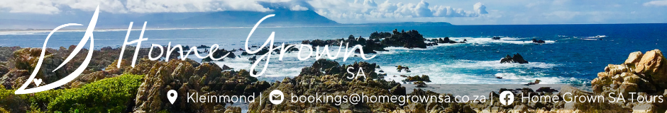 https://kleinmondtourism.co.za/wp-content/uploads/2021/03/3.png